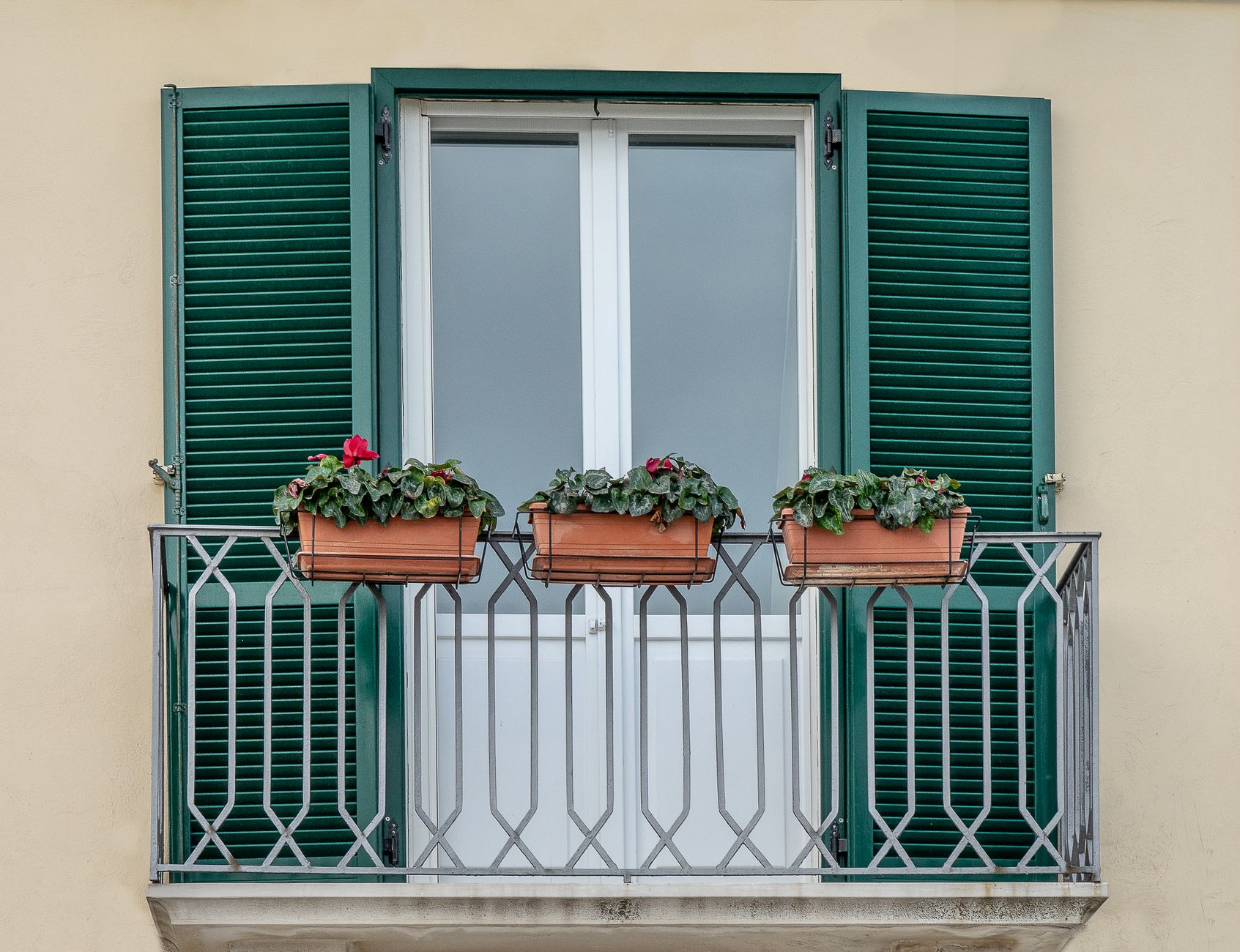 Balkonska ograja s cvetnim motivom, Kranj