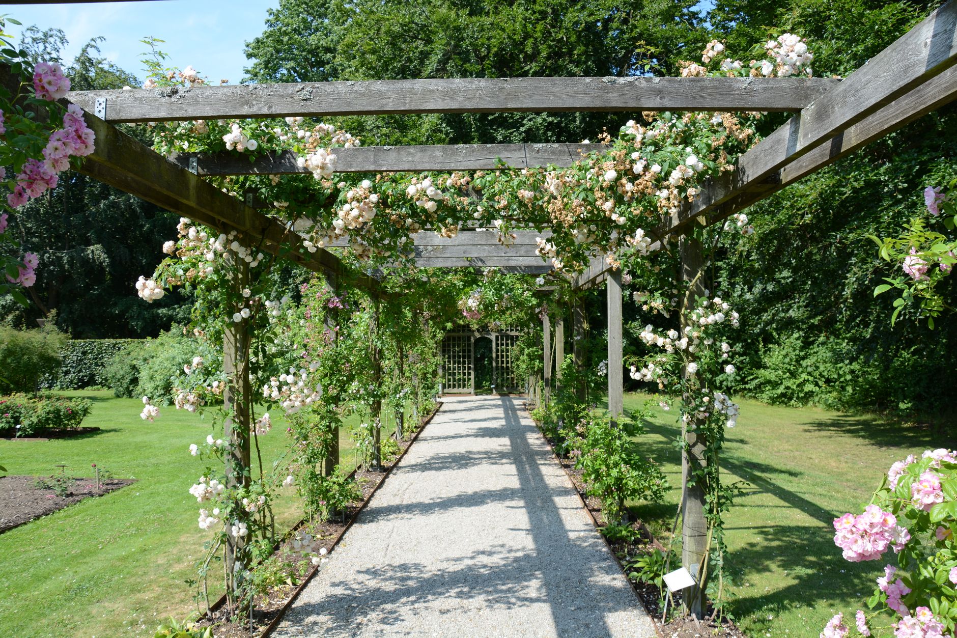 Pergola z vrtnicami